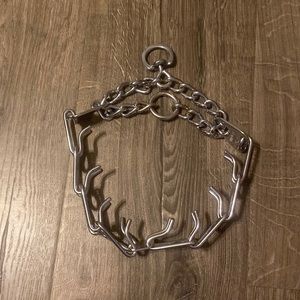 Large dog training collar